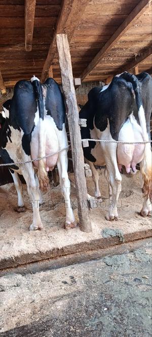 Super Milkers - thumbnail 2