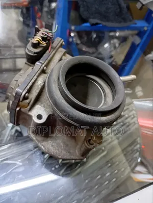 Throttle Body Passo