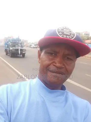 Looking for a Driving Job