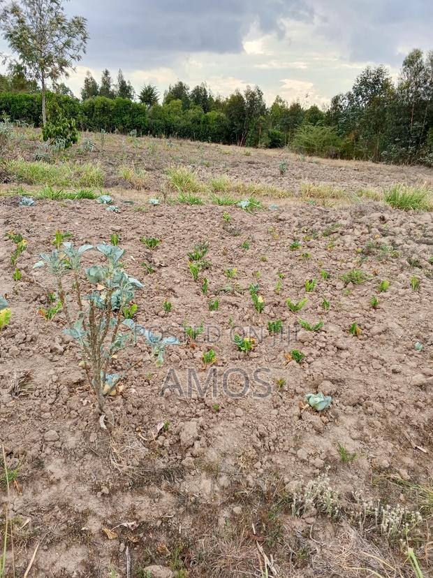 1acre Land in Limuru Tiekunu Near Ndungu Njenga High School