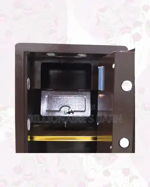 70kg Biometric Safe Box |Large Capacity Storage Without Messy Stacking