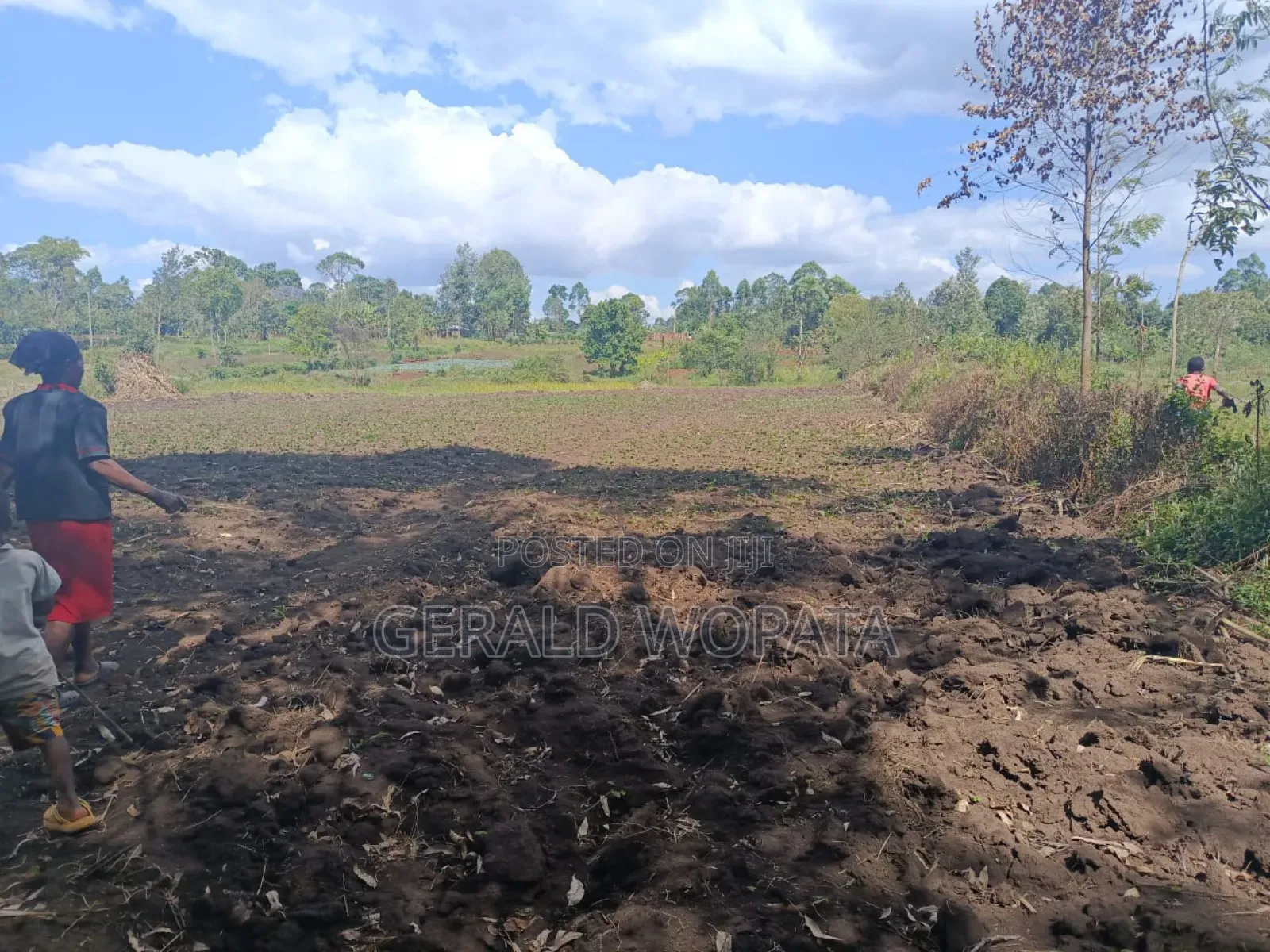 Riverfront Land on Sale