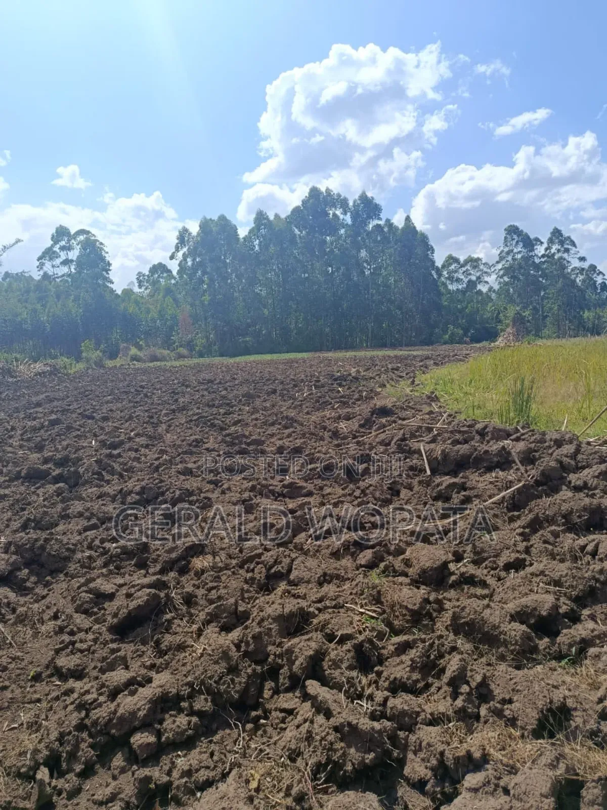 Riverfront Land on Sale