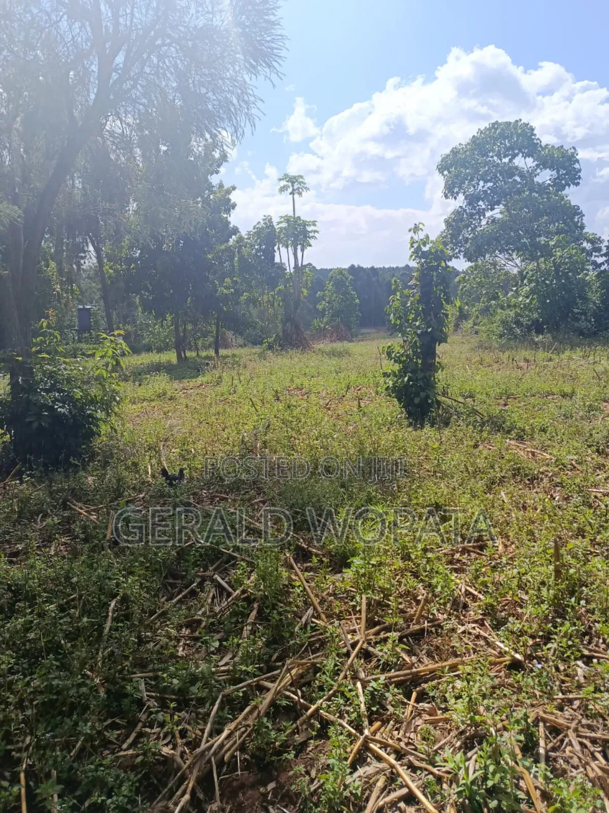 Riverfront Land on Sale
