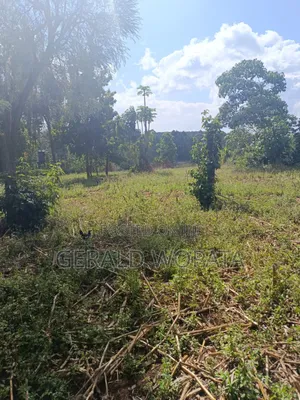 Riverfront Land on Sale