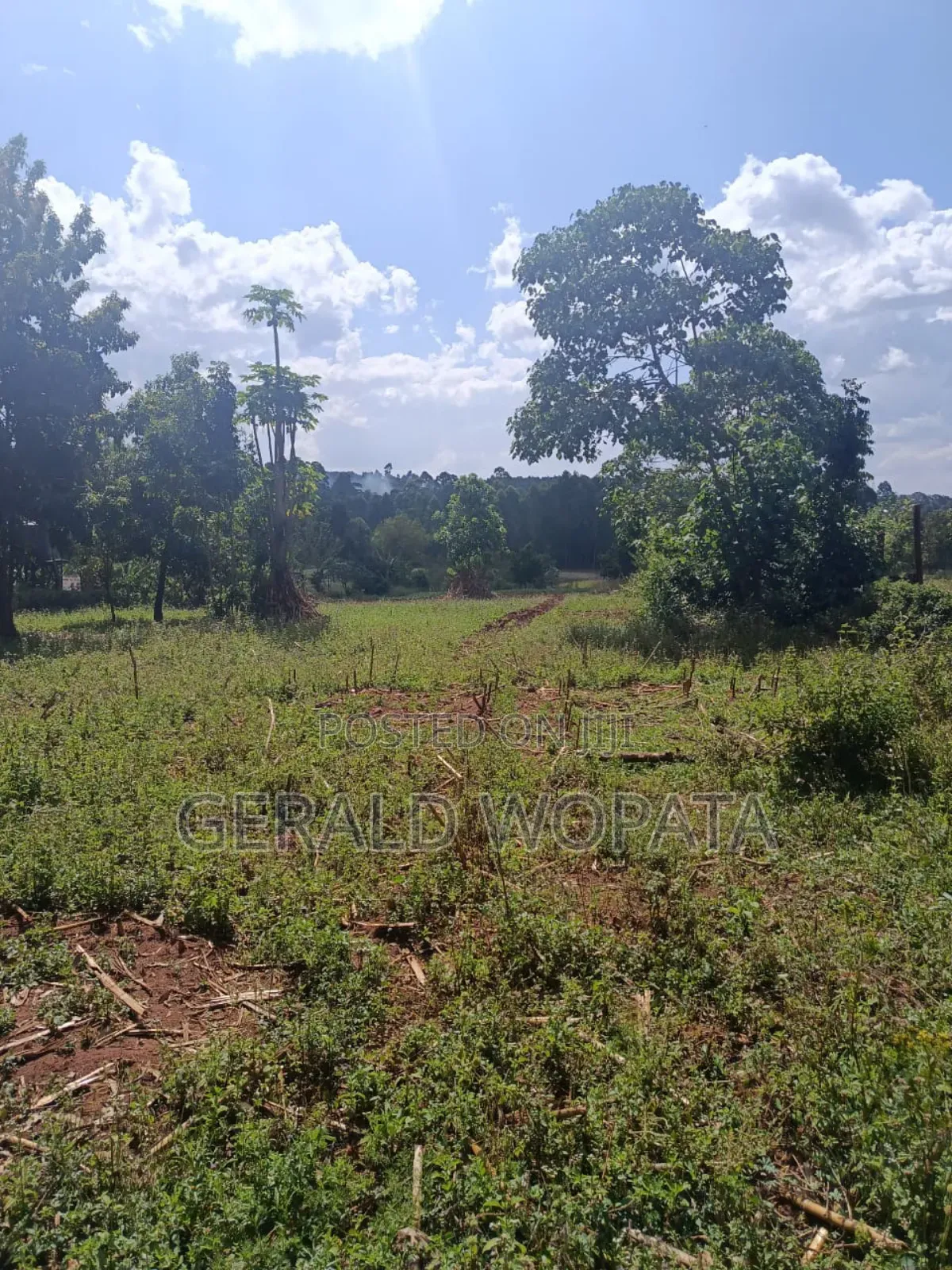 Riverfront Land on Sale
