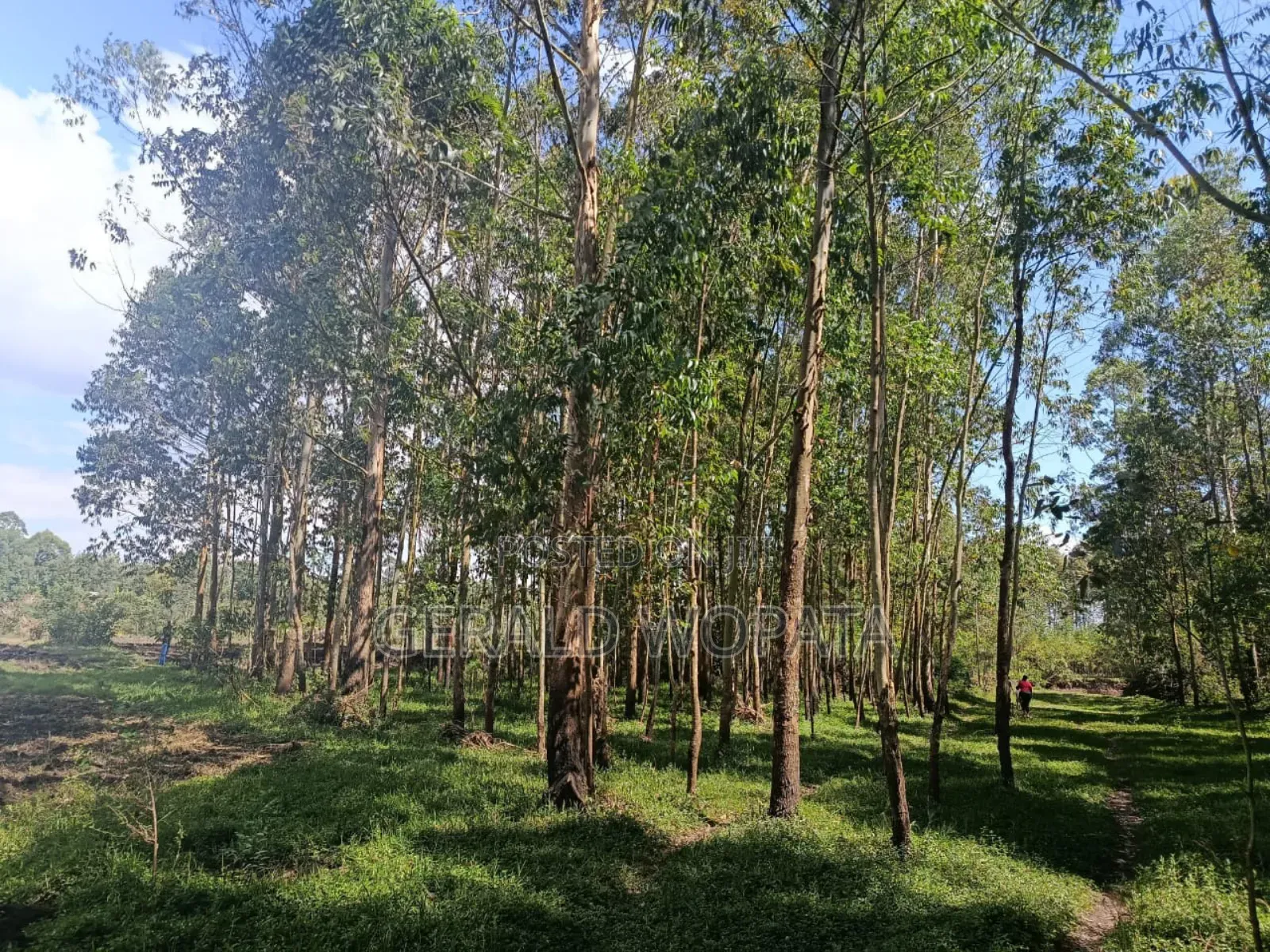 Riverfront Land on Sale