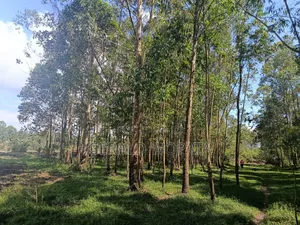 Riverfront Land on Sale