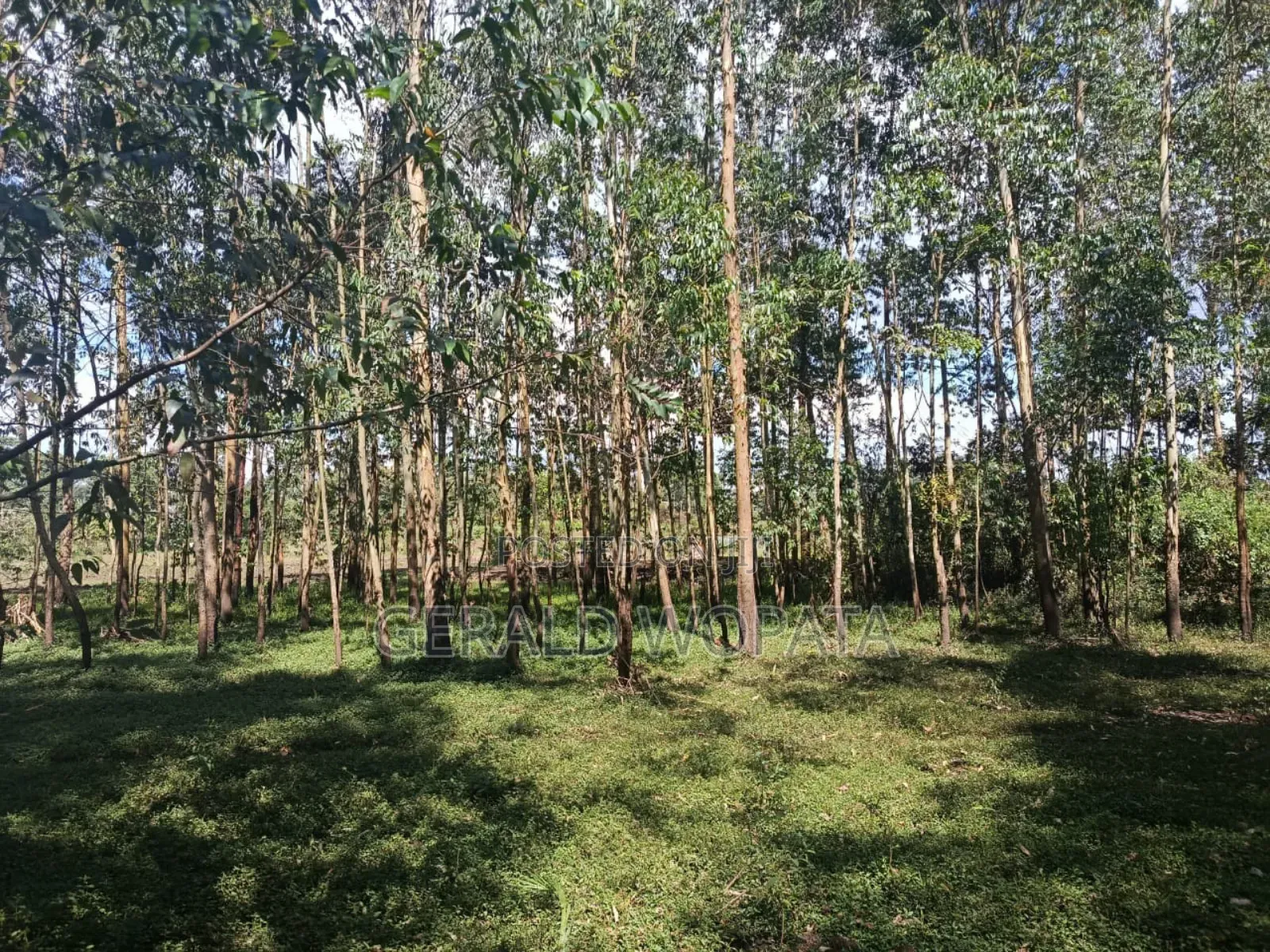 Riverfront Land on Sale