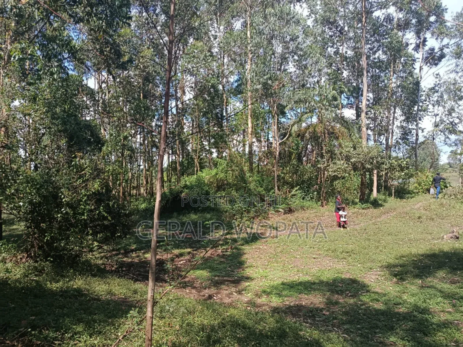 Riverfront Land on Sale