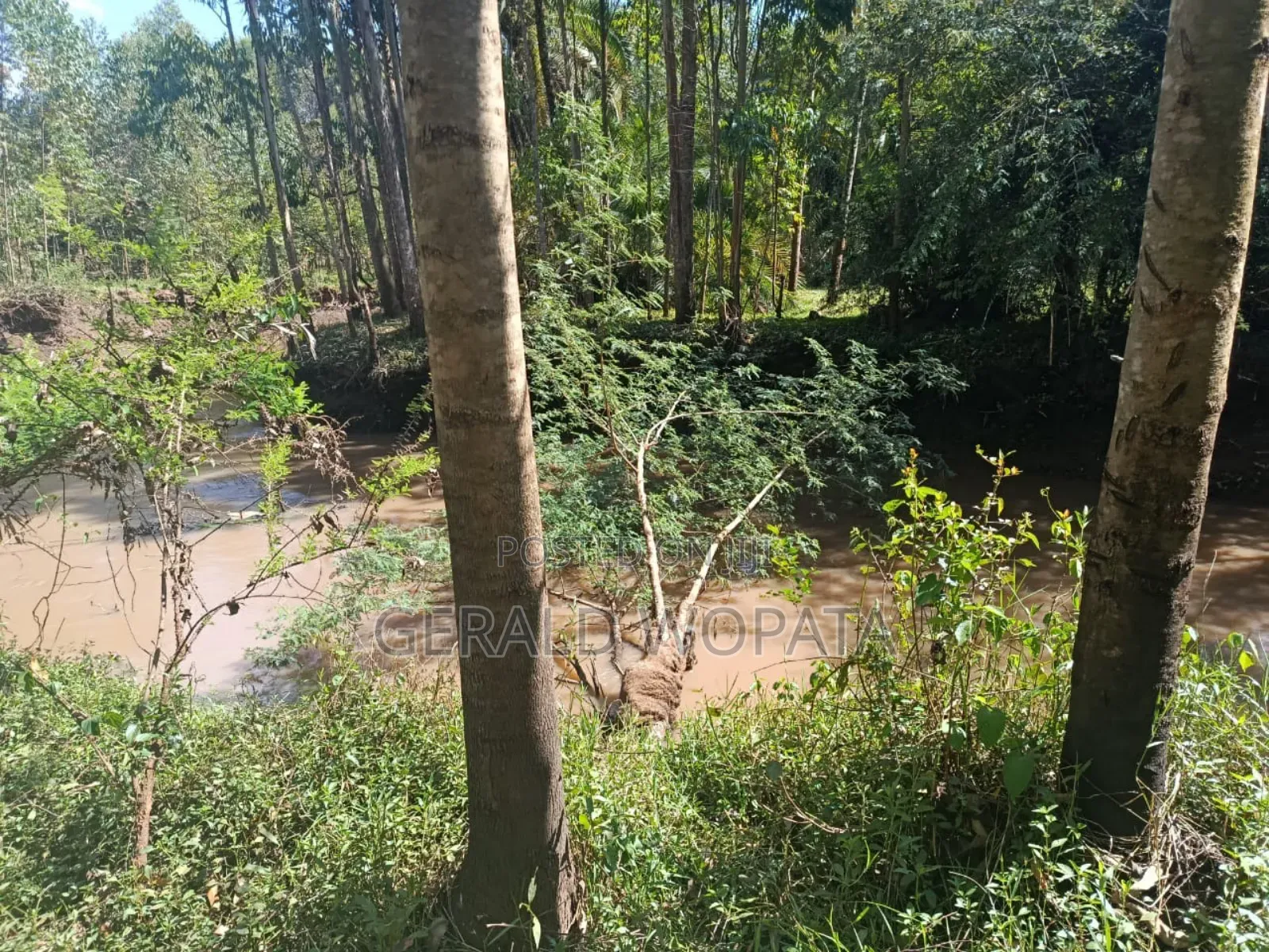 Riverfront Land on Sale