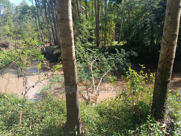 Riverfront Land on Sale - thumbnail 9