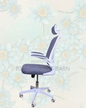 White Ergonomic Mesh Chair | Firm Support With a Soft Landing Seat