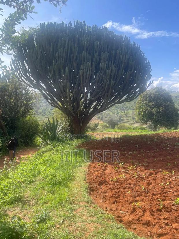 Residential Prime Land for Sale - thumbnail 2