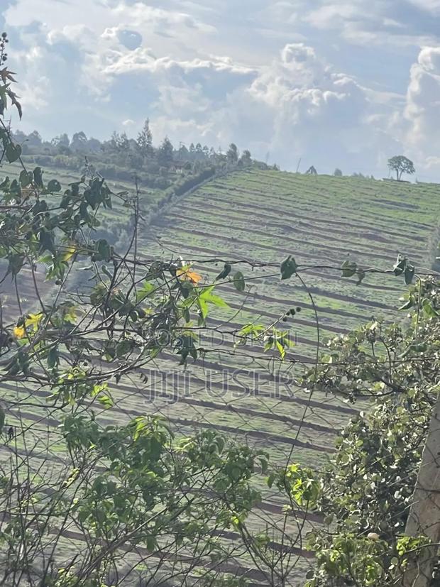 Residential Prime Land for Sale - thumbnail 6