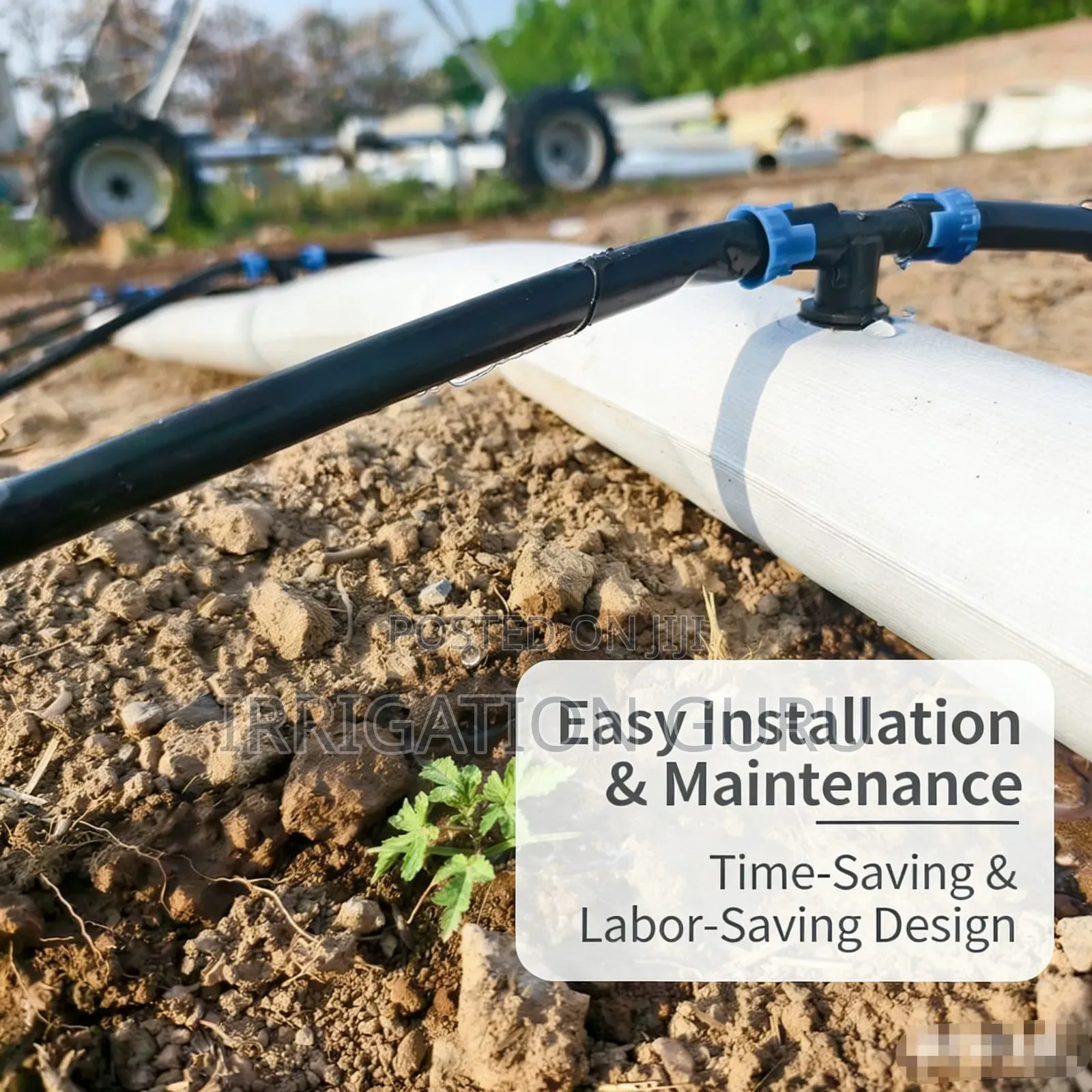 Best Irrigation for Tomatoes