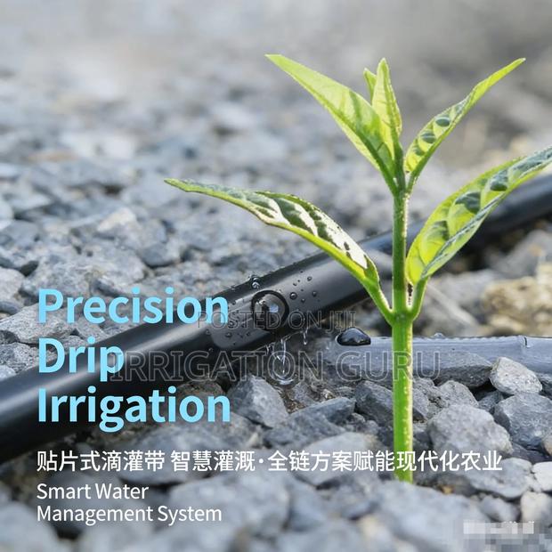 Irrigation for Onions - main view