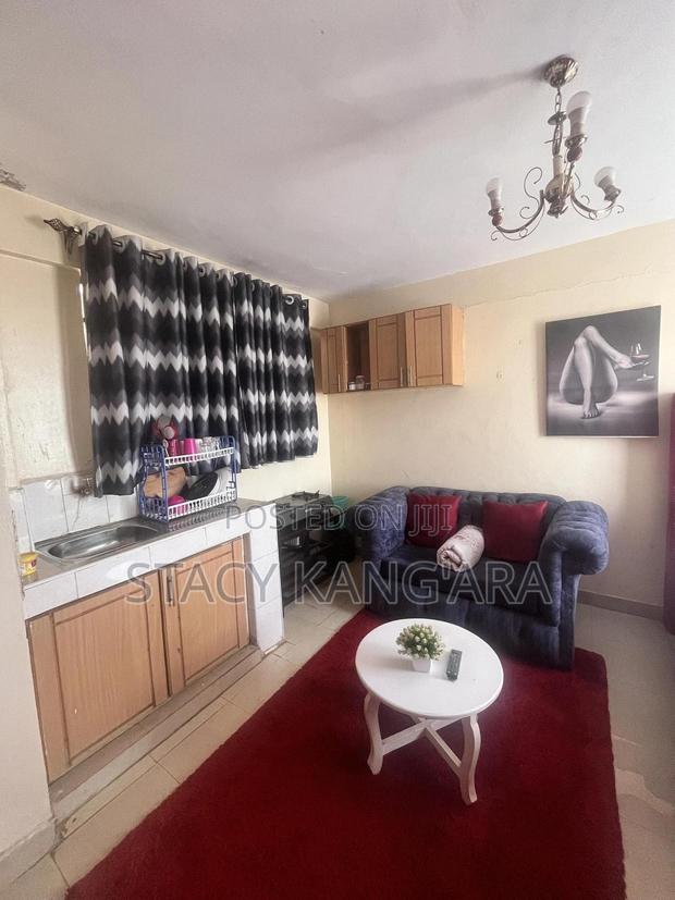 Fully Furnished Studio Apartment - thumbnail 3