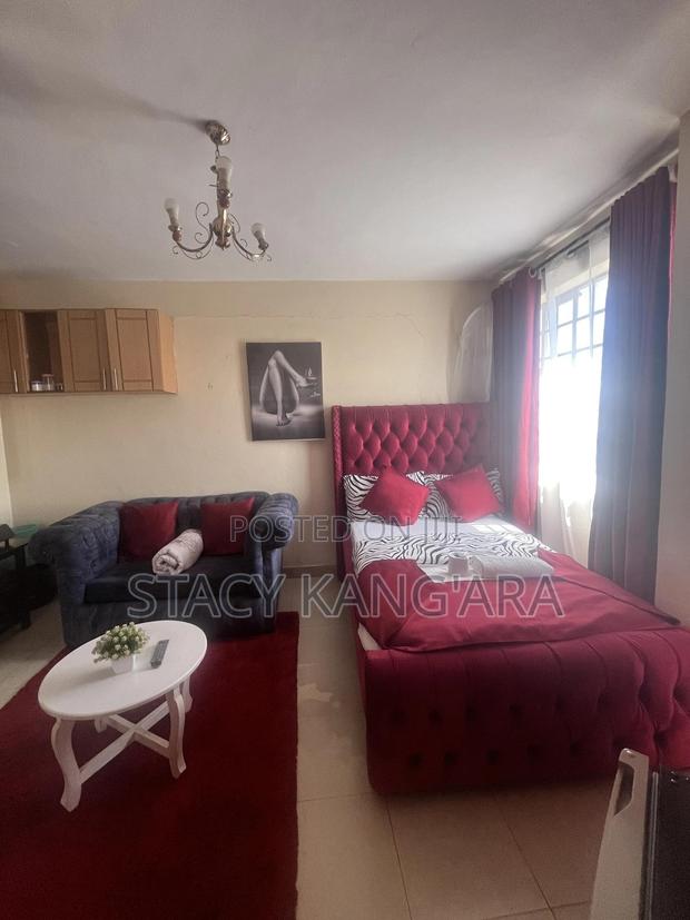 Fully Furnished Studio Apartment - thumbnail 6