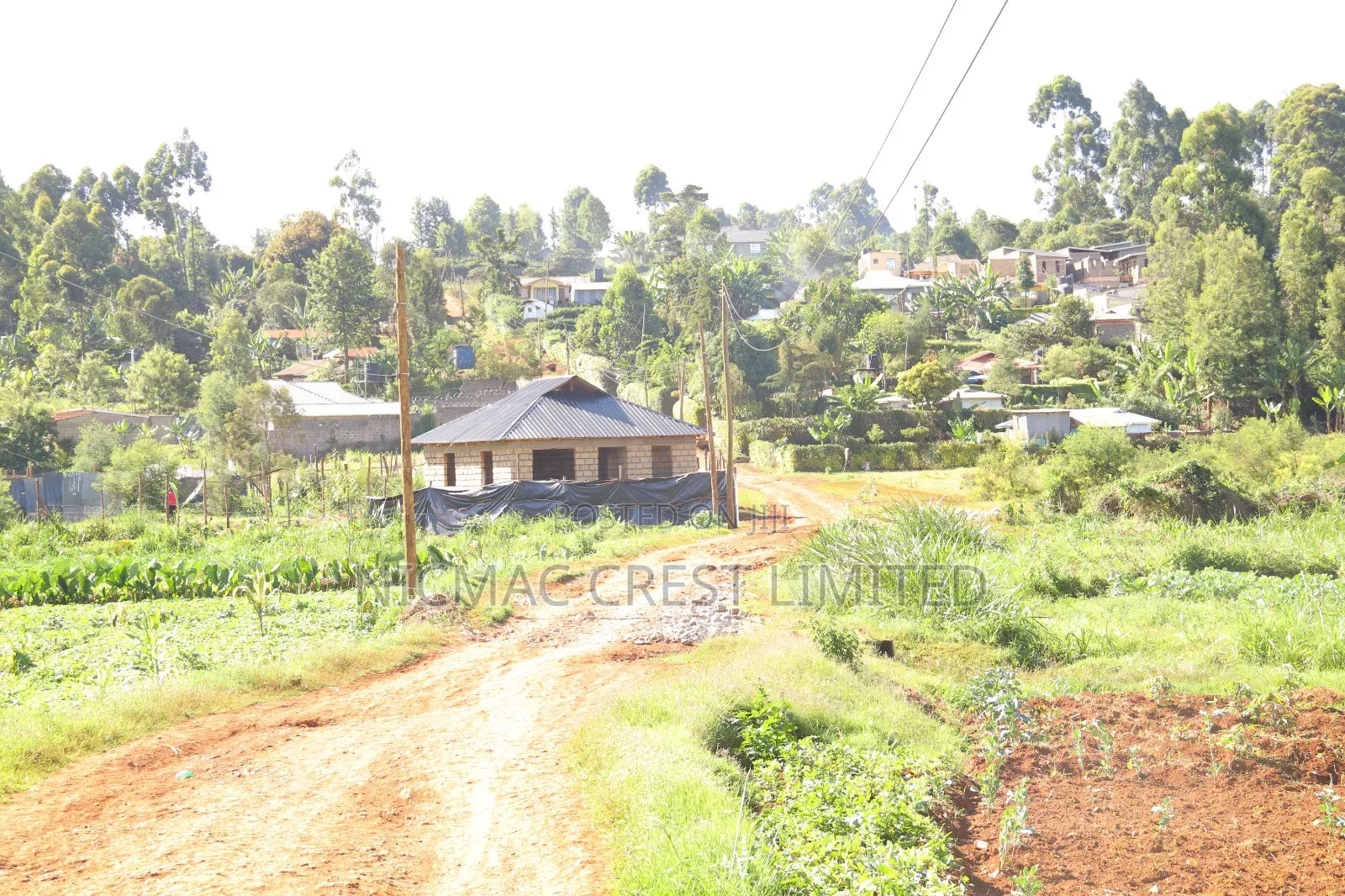 Prime Plots for Sale