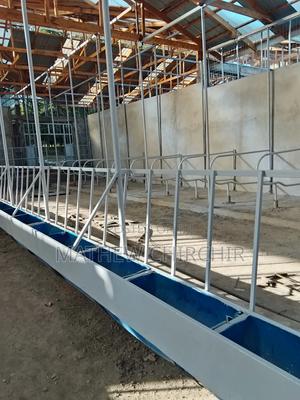 Modern Dairy Cow Shade - main view