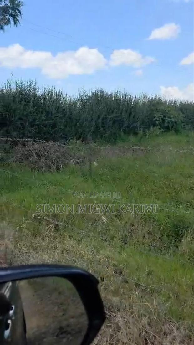 1/2 Half an Acre for Sale in Nyeri - thumbnail 5