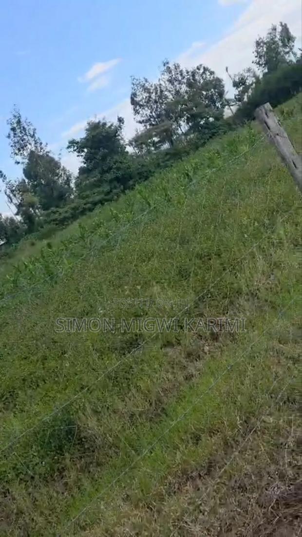 1/2 Half an Acre for Sale in Nyeri - thumbnail 6