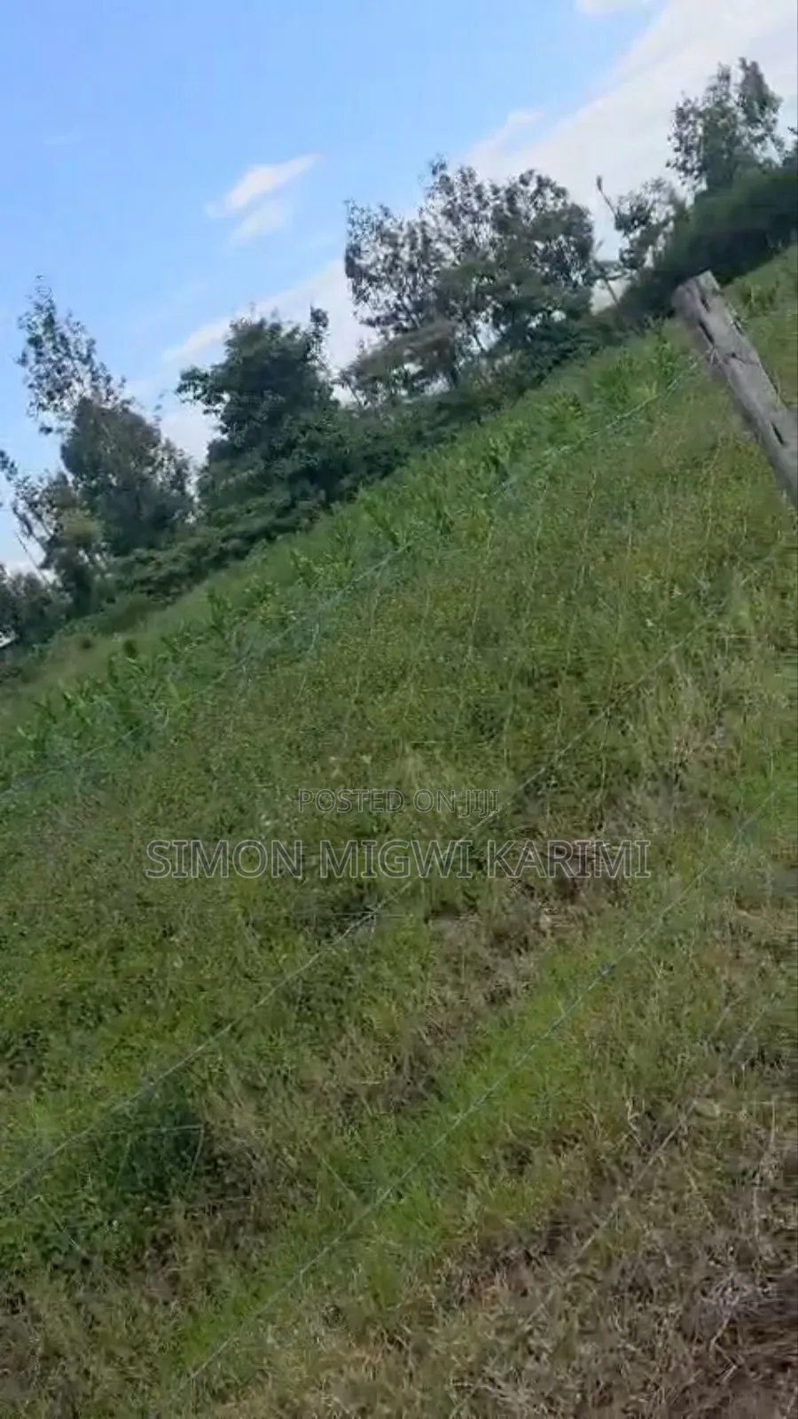 1/2 Half an Acre for Sale in Nyeri