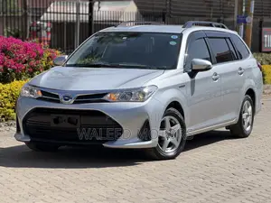 Toyota Corolla Fielder 2018 Silver