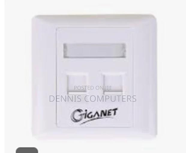 Giganet Dual Faceplate