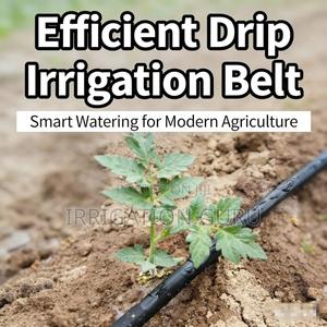 Water Droplets to the Root - thumbnail 2