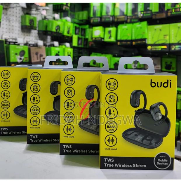 Budi Ep36b TWS True Wireless Stereo Earbuds - main view
