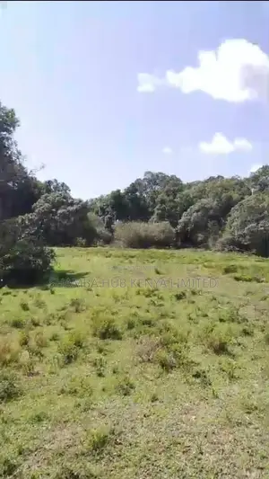Prime Safari Land for Sale – Masai Mara/ Maasai Mara