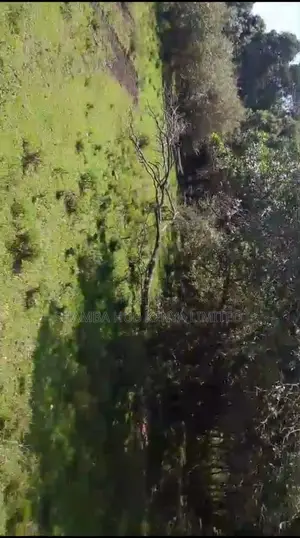 Prime Safari Land for Sale – Masai Mara/ Maasai Mara