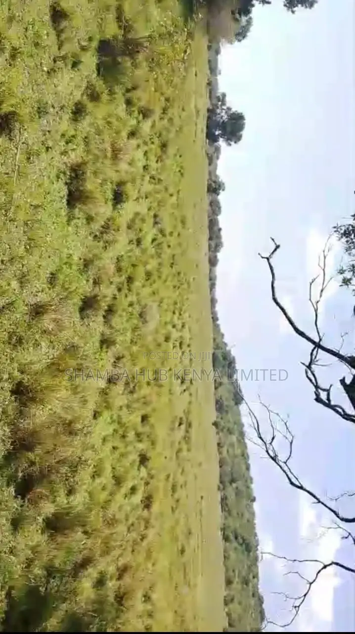 Prime Safari Land for Sale – Masai Mara/ Maasai Mara