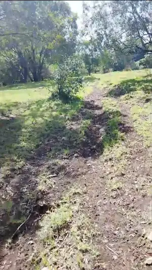 Prime Safari Land for Sale – Masai Mara/ Maasai Mara