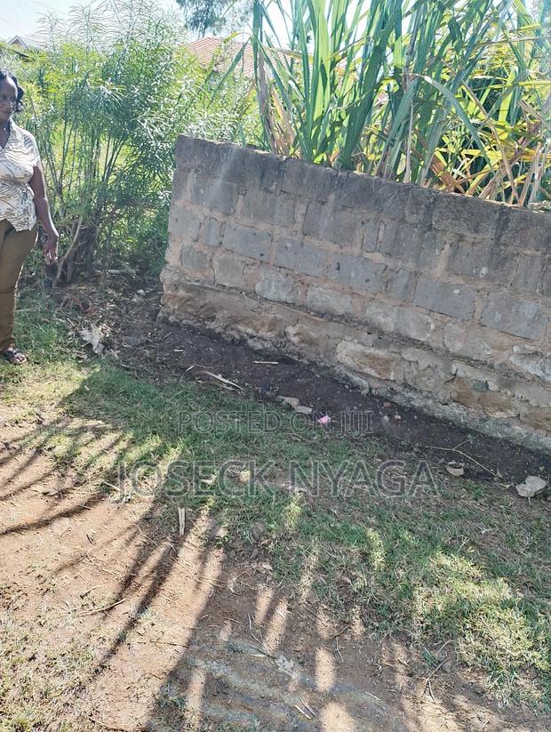 60 by 60 Plot of Land - thumbnail 4