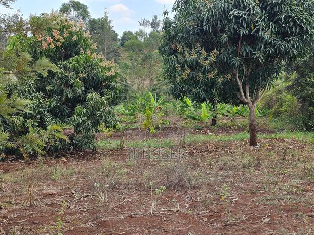 100*100 Plot at 2m at Murang'a Maragua Ridge - main view