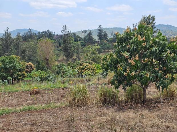 100*100 Plot at 2m at Murang'a Maragua Ridge - thumbnail 2