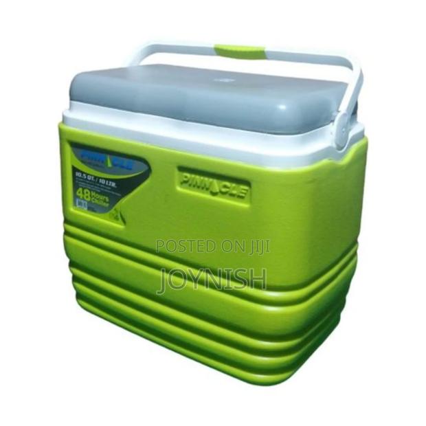 Pinnacle 10l Cooler Box