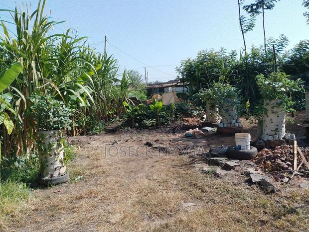 60 by 60 Plot of Land - thumbnail 7