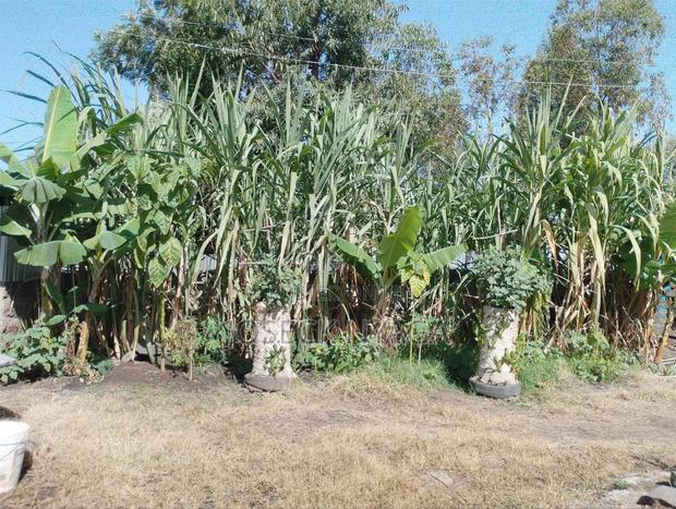 60 by 60 Plot of Land - thumbnail 8