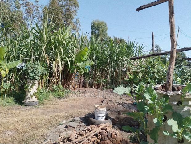 60 by 60 Plot of Land - thumbnail 9