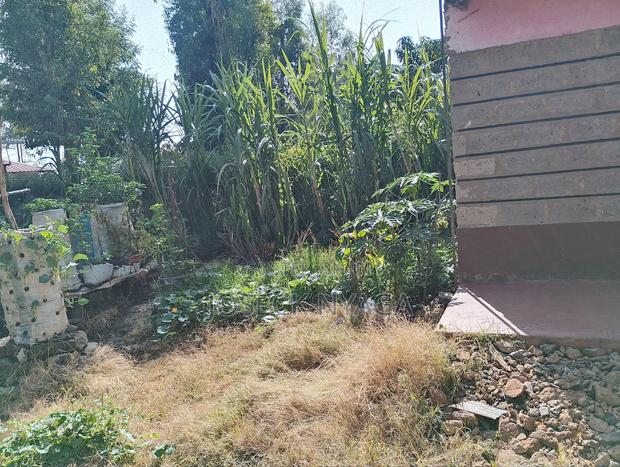 60 by 60 Plot of Land - thumbnail 10