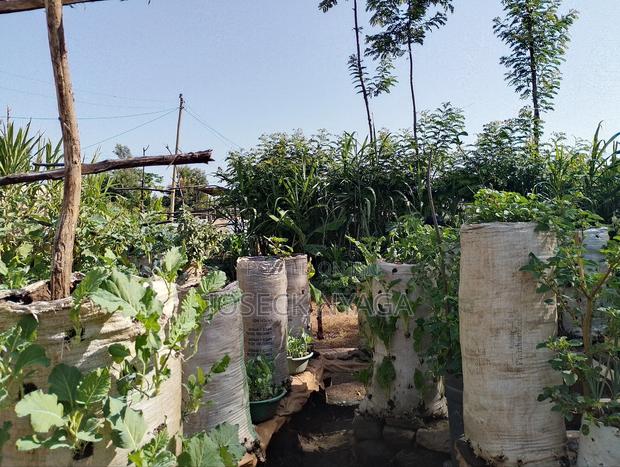 60 by 60 Plot of Land - thumbnail 14