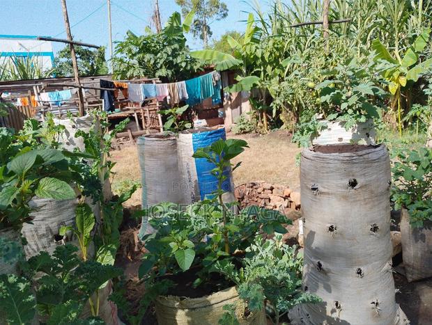 60 by 60 Plot of Land - thumbnail 15