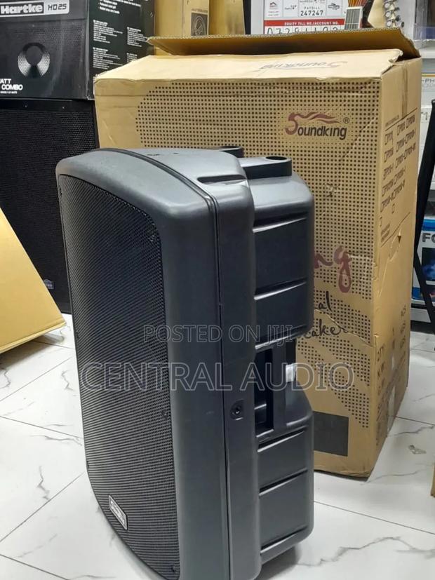 Soundking 15inch Midrange Speaker - main view