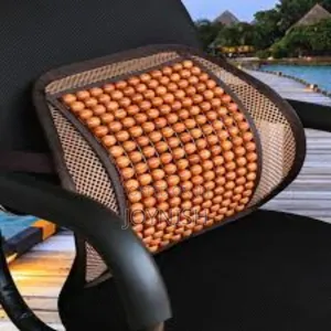 Car and Office Lumbar Backrest Support