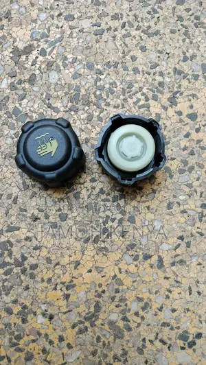 Coolant Cap , Nissan Note, X Trail,Radiator Cap,Nissan Dualis,Qashqai