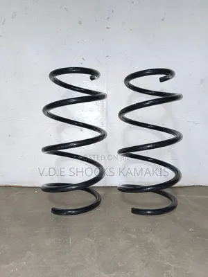 Toyota Vanguard Heavy-Duty Coil Springs